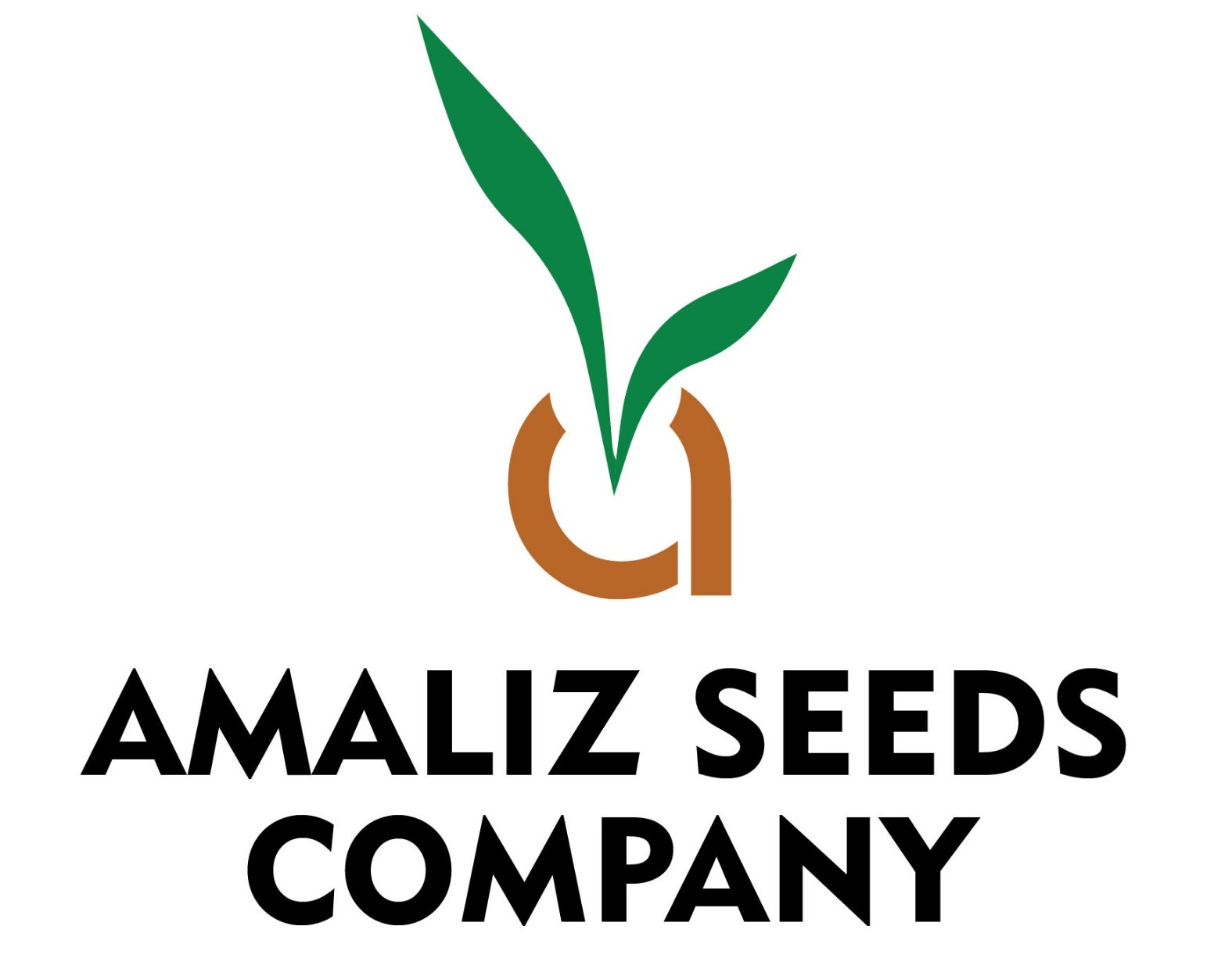 Amaliz Seeds Company