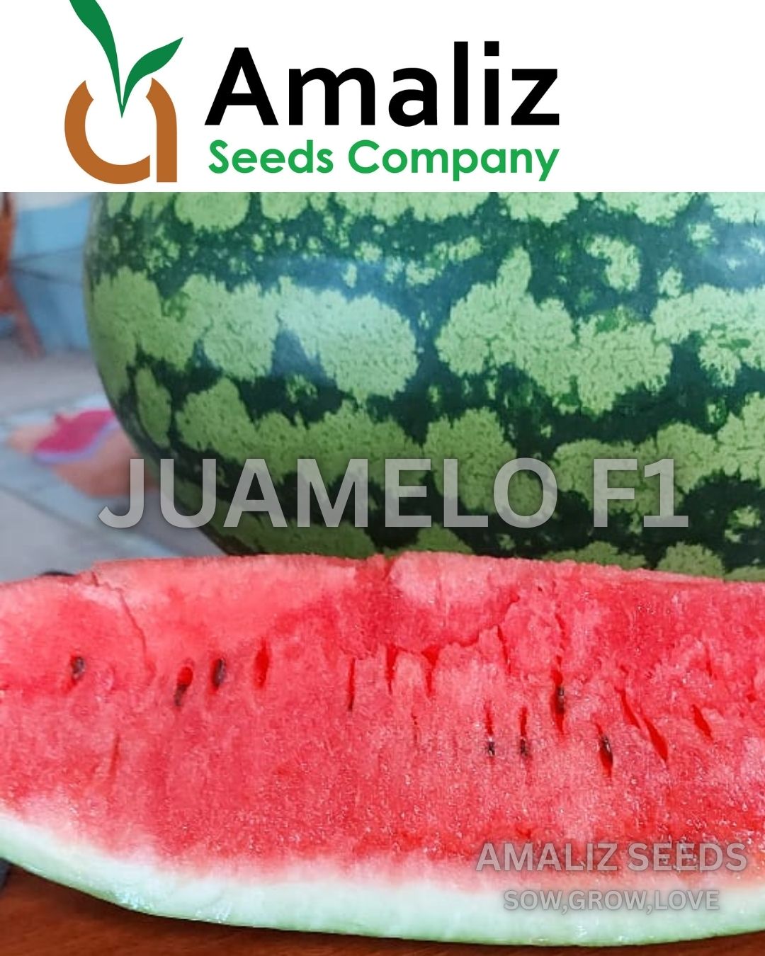 WARERMELON